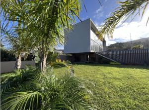Armada的住宿－Casa da Arda, Afife，院子里有棕榈树的房子
