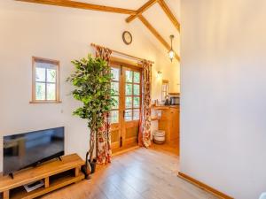 a living room with a flat screen tv and a plant at Lion House- Uk45705 in Brinkley