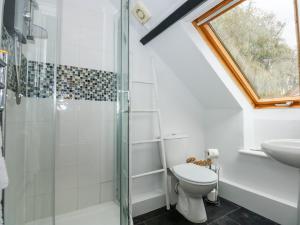 a bathroom with a shower and a toilet and a sink at Leveret Cottage in Docking