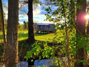 a view of a house through the trees at NEU Luxuriöses Tinyhaus Ferienhaus FREYR einmalig in Lübbenau in Klein Klessow