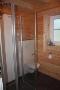 a bathroom with a toilet and a glass shower at Ferienhaus Nordic in Lembruch
