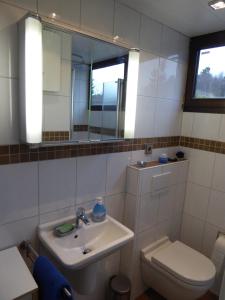 een badkamer met een wastafel, een toilet en een spiegel bij Eifelwaldhäuschen Grosstyp mit Wintergarten und Waschkeller Haustiere ok in Blankenheim