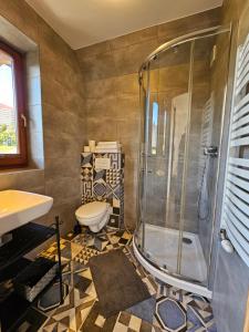 a bathroom with a shower and a toilet at Panorama Szymaszkowa in Zakopane +32 photos
