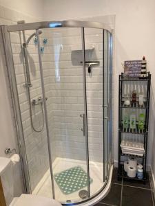 a shower with a glass door in a bathroom at The Potters Cottage in Clifden