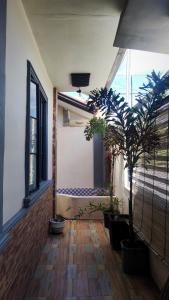 a room with a large window and a plant at MESSÉ Home Stay in General Santos