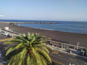 una palma di fronte a una spiaggia con l'oceano di Ático Los Balcones a Santa Cruz de la Palma