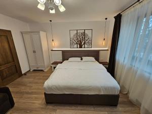 a bedroom with a large bed and a window at Arbor Inn in Braşov