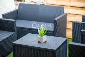 eine Topfpflanze auf einem Tisch in der Unterkunft Cosy lounge suit à 10 min de l'aéroport CDG TREMBLAY EN FRANCE in Tremblay En France