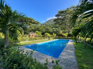 a swimming pool in a yard with palm trees at Tayrona Cachaco River Ecohostal in El Zaino