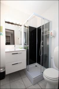 e bagno con doccia, servizi igienici e lavandino. di Hôtel Peyramale a Lourdes