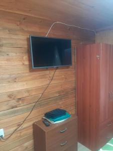TV i/ili multimedijalni sistem u objektu Cabañas Naturaleza Boyenar