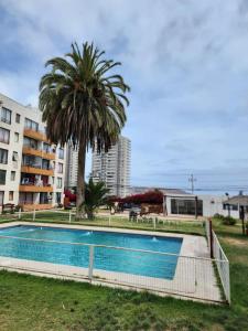 een zwembad met een palmboom en een gebouw bij Playa y Descanso Chic in Coquimbo