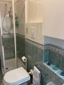 ein Bad mit einem WC und einer Dusche in der Unterkunft Villa dei Gelsi in Leporano Marina