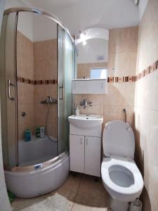 uma casa de banho com um chuveiro, um WC e um lavatório. em Apartment Modena Novi Sad em Novi Sad