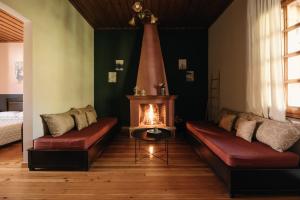 a living room with a couch and a fireplace at Chrysiida Apartments Kalavrita in Kalavrita