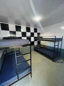 PedongにあるRilassare Stays Hostelの二段ベッド2台とチェッカー付きの壁が備わる客室です。