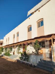 a building with stairs and trees in front of it at Al Deira Dahab Hotel in Dahab