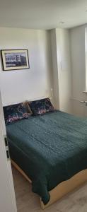 sypialnia z zielonym łóżkiem z poduszkami w obiekcie Apartament Busko-Zdrój - Zosia w Busku Zdroju