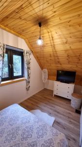 sypialnia z łóżkiem i telewizorem z płaskim ekranem w obiekcie Domek Leśny Spokój Smyków w mieście Celiny