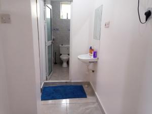 蒙巴薩的住宿－Robin's Comfort home，浴室配有卫生间、水槽和蓝色地毯。