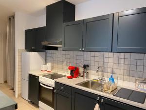 een keuken met zwarte kasten en een wastafel bij Cozy appartement en plein coeur de Dax Fontaine Chaude in Dax
