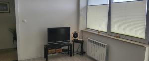 salon z telewizorem i oknem w obiekcie Apartament Busko-Zdrój - Zosia w Busku Zdroju