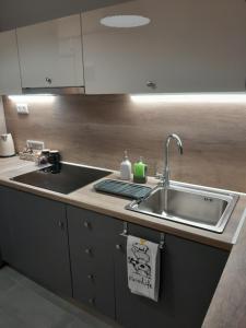 Una encimera de cocina con un fregadero y un fregadero. en Cozy Di.Va city centre, en Tesalónica