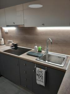 a kitchen counter with a sink and a sink at Cozy Di.Va city centre in Thessaloniki