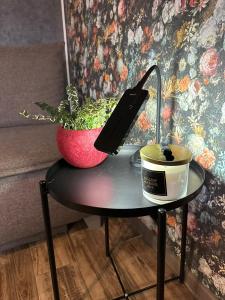 una mesa con una planta y un teléfono en ella en Hugo 3, en Jēkabpils