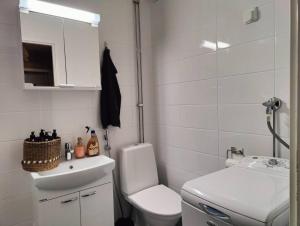 La salle de bains blanche est pourvue de toilettes et d'un lavabo. dans l'établissement Mesikämmen - Free parking & WiFi - Next to the forest, à Jyväskylä