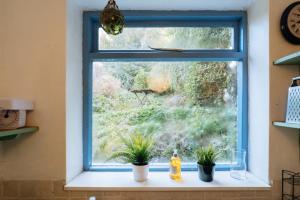 a window with potted plants on a window sill at Peaceful 2BD Home - 18 mins to Bath City Centre! in Bath