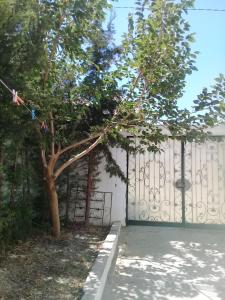 Ein weißer Zaun mit einem Baum daneben. in der Unterkunft maison a louer a la grotte de bizerte in Dar el Koudia