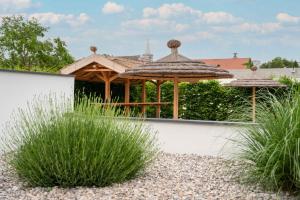 Zahrada ubytování Casa Rust