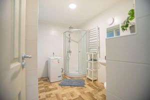 La salle de bains est pourvue d'une douche et de toilettes. dans l'établissement CENTER APARTMENT BUDAPEST, Akacfa street, à Budapest