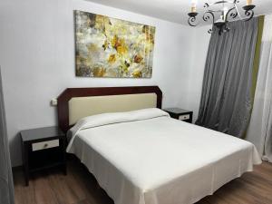 a bedroom with a bed and a painting on the wall at Habitaciones Premium Finca la Casona in San Rafael