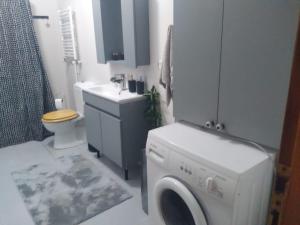 ブユカダにあるApartament Adaのバスルーム(洗濯機、シンク付)