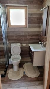 een badkamer met een toilet, een wastafel en een raam bij Brvnare Golo Brdo in Mokra Gora