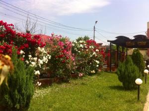 Zahrada ubytování Pension Iory`s
