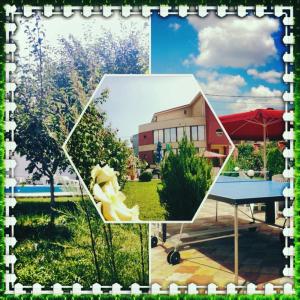 a collage of photos of a house and a table at Pension Iory`s in Techirghiol