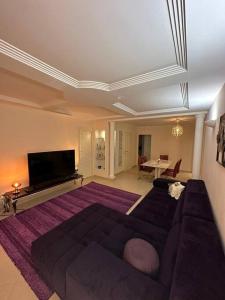 uma sala de estar com um sofá e uma televisão em Vienna Deluxe Apartment em Viena