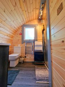 uma pequena casa de banho com um WC e uma janela em Bothan Creag Sobhrag em Ballachulish