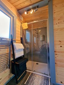 a shower in a tiny house bathroom with wooden walls at Bothan Creag Sobhrag in Ballachulish