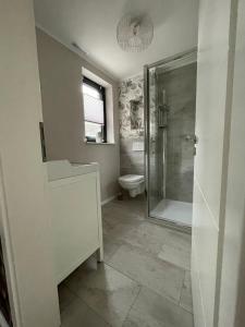 ein Bad mit einer Dusche und einem WC in der Unterkunft Ferienhaus Kleine Auszeit in Idar-Oberstein