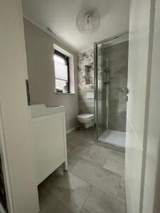 a bathroom with a shower and a toilet at Ferienhaus Kleine Auszeit in Idar-Oberstein +51 photos