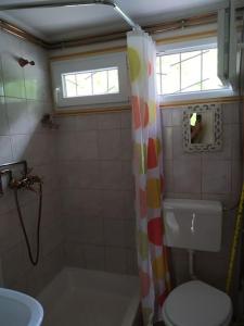 een badkamer met een toilet en een douchegordijn bij Kosbor Kuckó in Kismaros