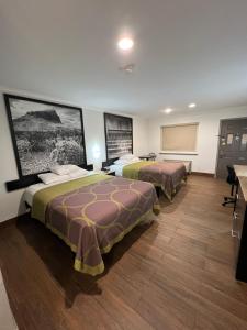 Postel nebo postele na pokoji v ubytování Super 8 by Wyndham McAllen-Downtown-Airport-LA Plaza Mall