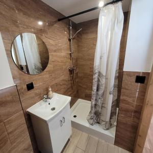 a bathroom with a shower and a sink and a mirror at Pokoje Gościnne Baśniowy Dom Radków in Radków