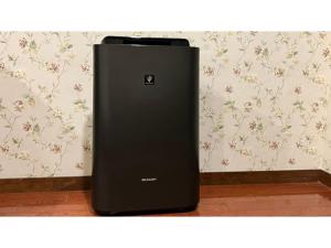 a black refrigerator sitting against a wall with floral wallpaper at Old England Dogo Yamanote Hotel - Vacation STAY 75541v in Matsuyama