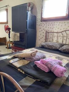 two beds with pillows on a table with a tv at Villa Olympus 