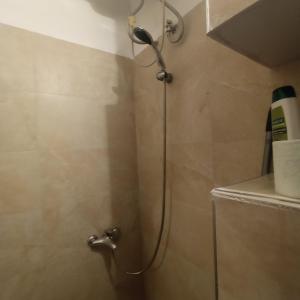 a shower with a shower head in a bathroom at Agroni Rooms-21 in Tirana